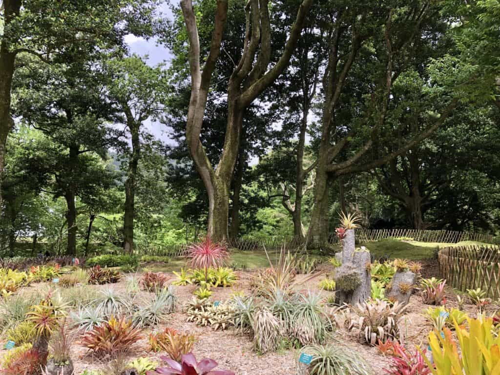 Azores healing and yoga retreat