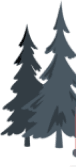Shape Image