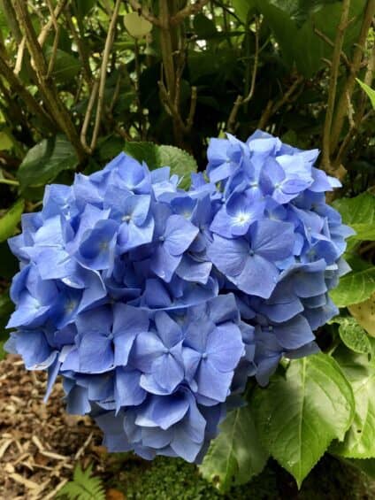 IMG_6501 scaled e1747573474390