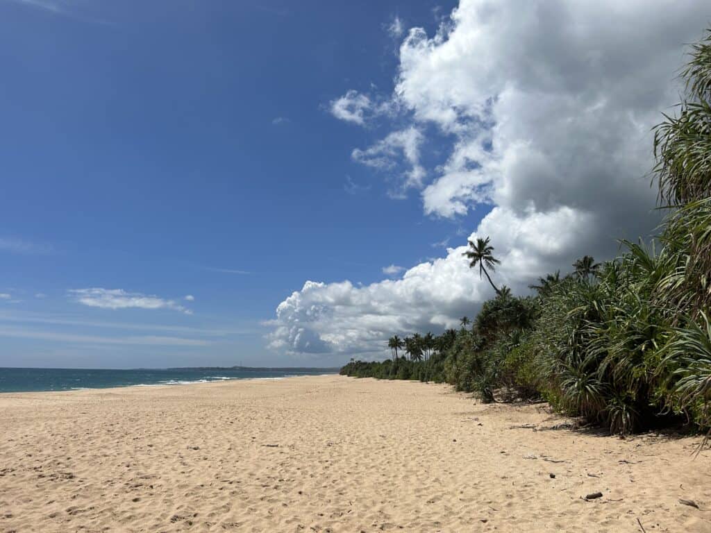 srí lanka healing és yoga retreat
