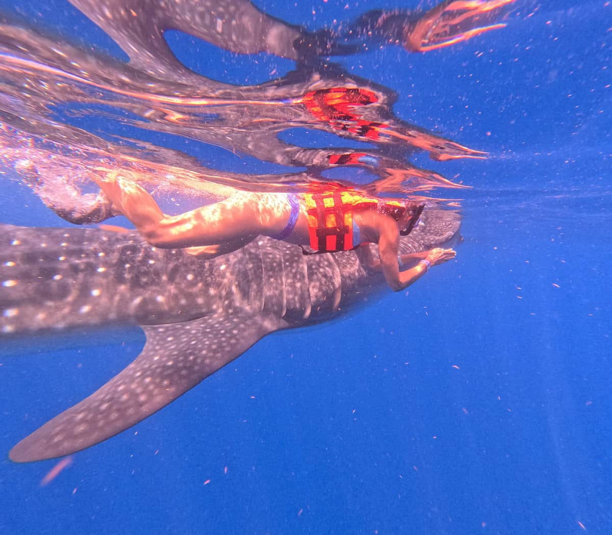 GOPR5053 scaled