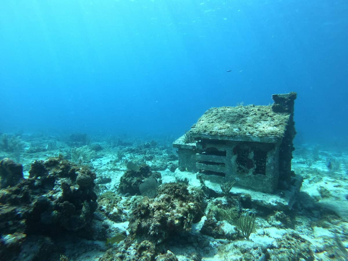 GPTempDownload 3 scaled