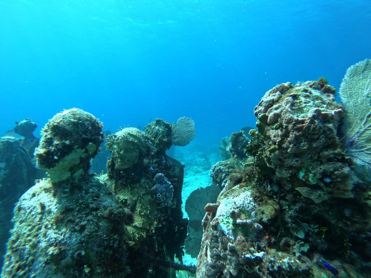 GPTempDownload 5 scaled