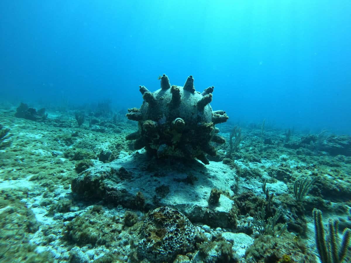 GPTempDownload 7 scaled