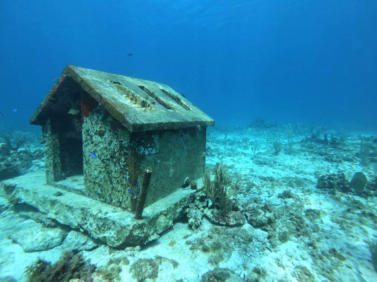 GPTempDownload 8 scaled