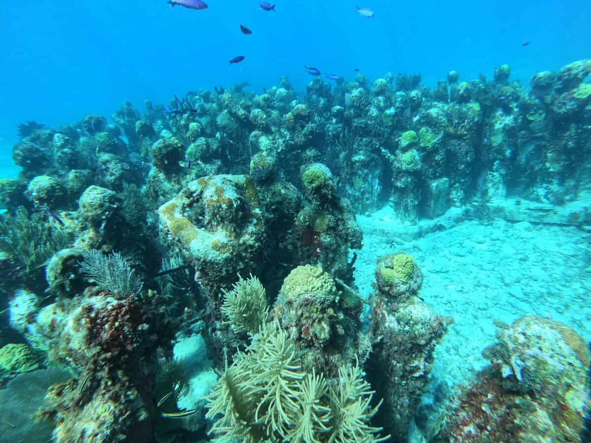 GPTempDownload 9 scaled